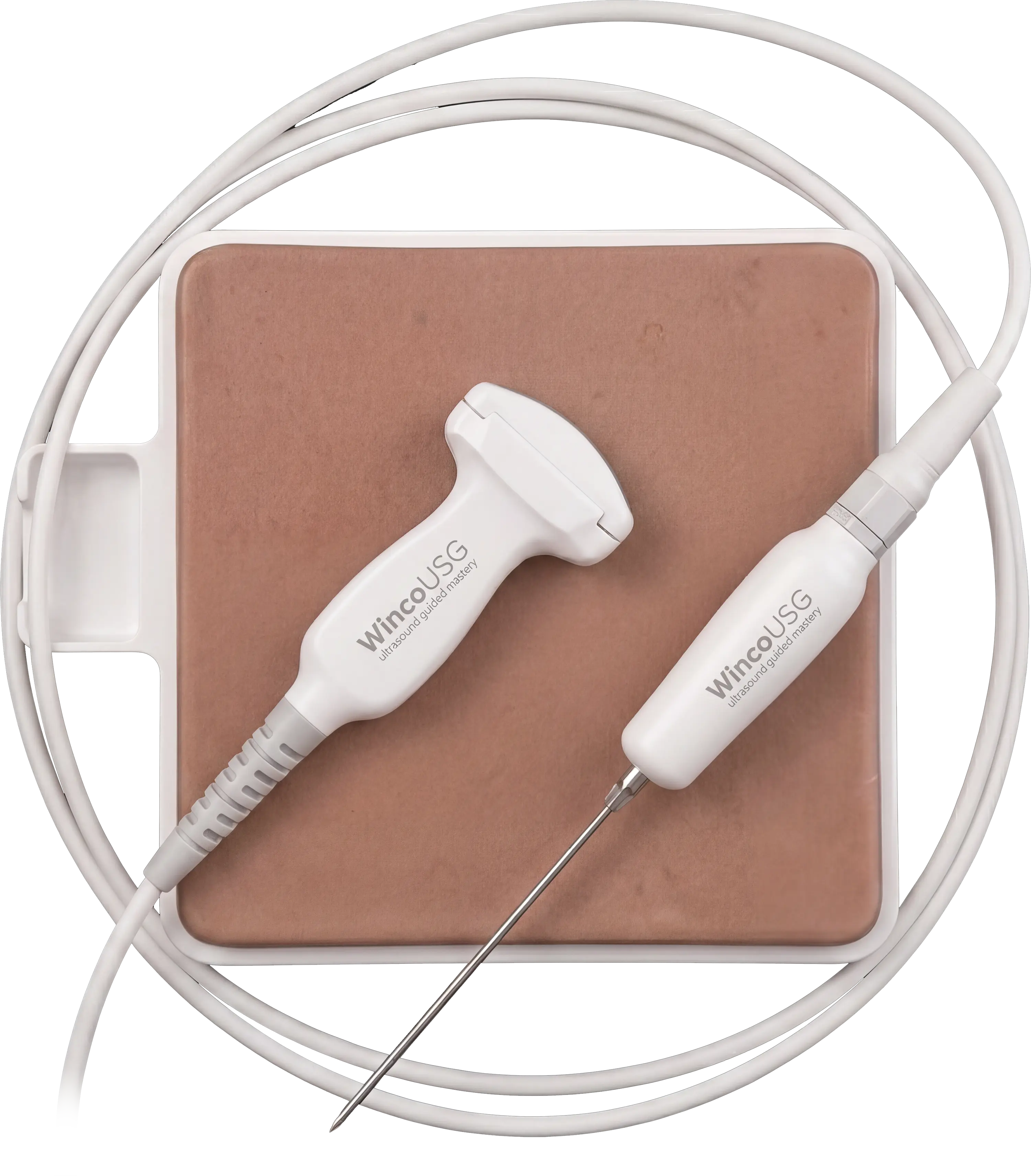 Winco USG — ultrasound probe and needle handpiece resting on a tissue-simulating training pad, top-down view